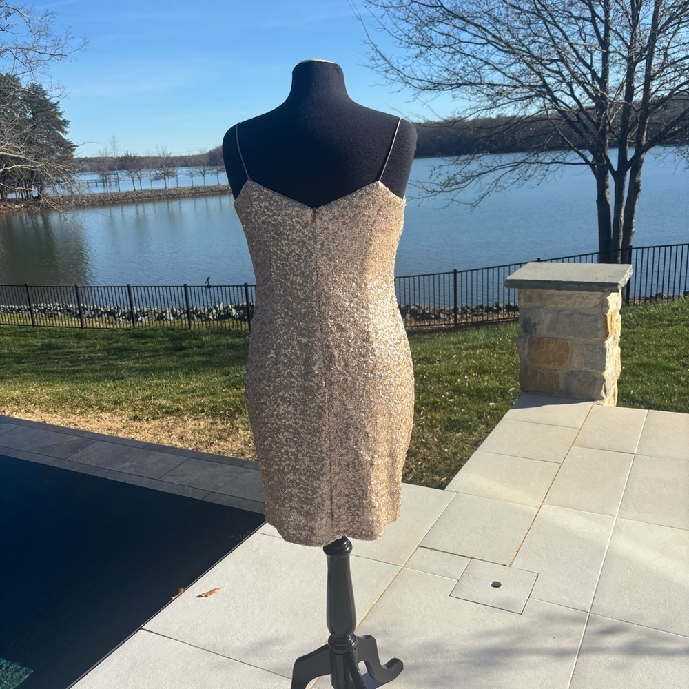 Kay Unger New York Champagne Sequin Slip Dress | Size 12 - Picture 2 of 4